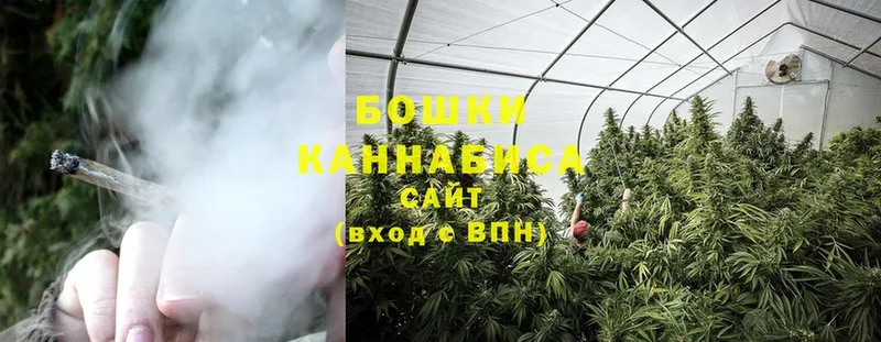 где можно купить наркотик  Николаевск  Каннабис LSD WEED 